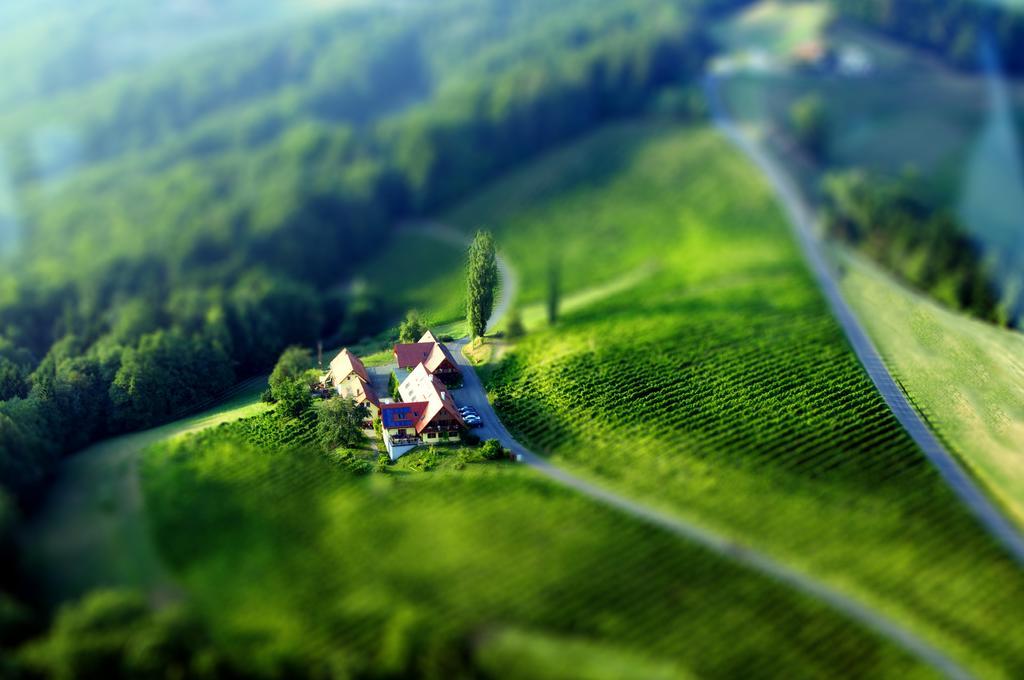Weingut Winzerzimmer Rothschaedl Leutschach Dış mekan fotoğraf