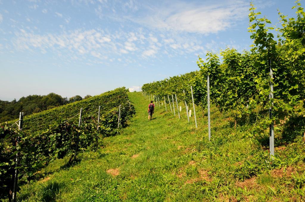 Weingut Winzerzimmer Rothschaedl Leutschach Dış mekan fotoğraf