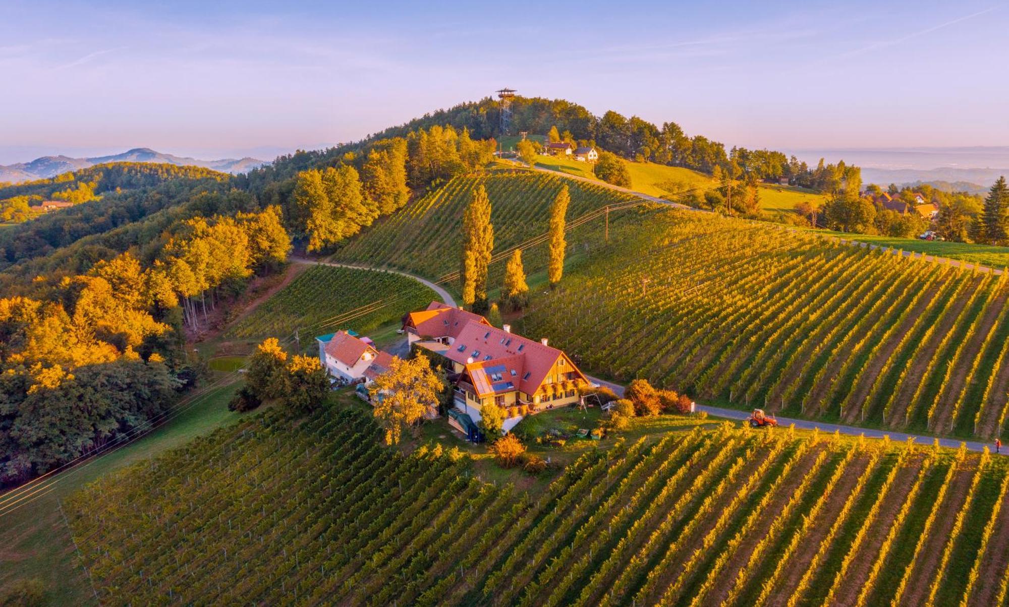 Weingut Winzerzimmer Rothschaedl Leutschach Dış mekan fotoğraf