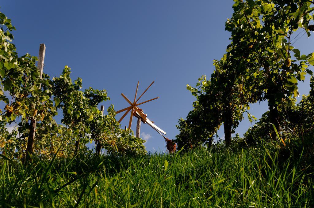 Weingut Winzerzimmer Rothschaedl Leutschach Dış mekan fotoğraf