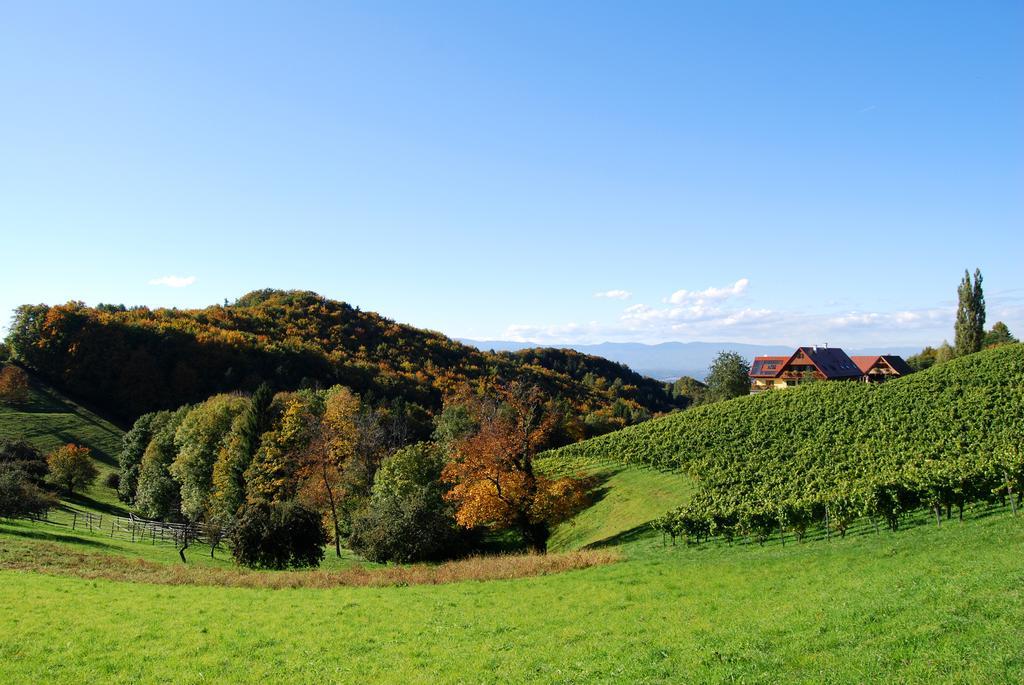 Weingut Winzerzimmer Rothschaedl Leutschach Dış mekan fotoğraf