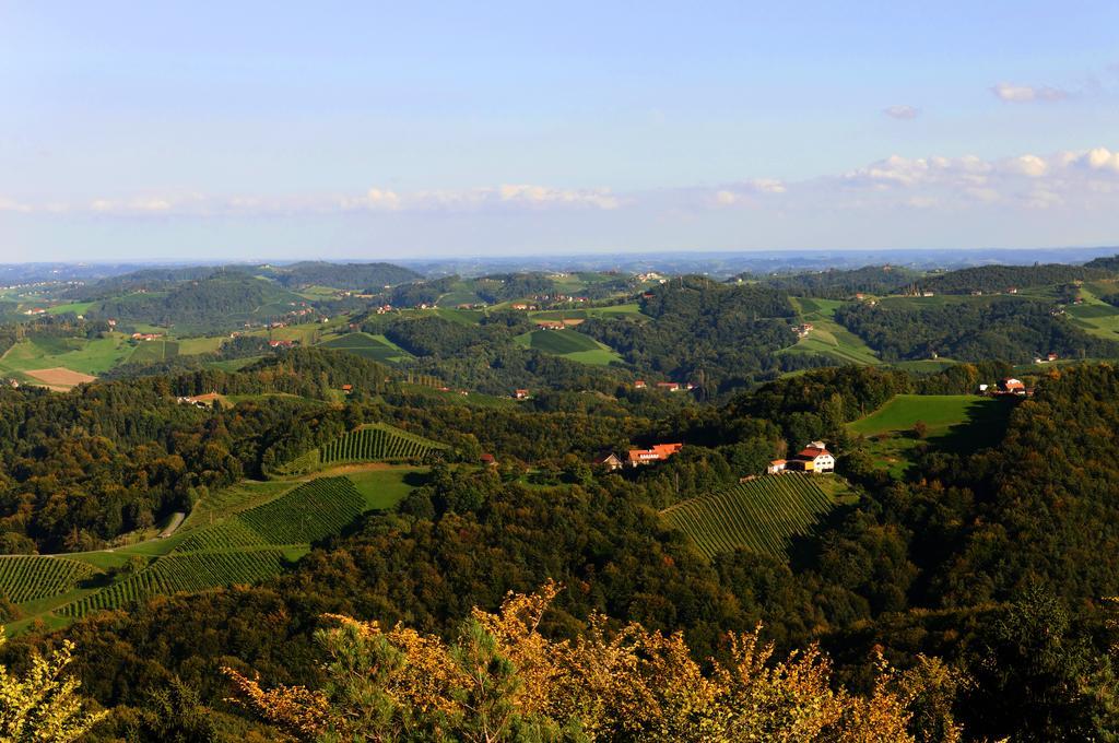Weingut Winzerzimmer Rothschaedl Leutschach Dış mekan fotoğraf